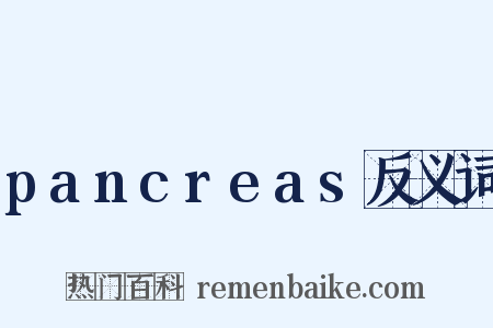 pancreas反义词是什么意思的图片